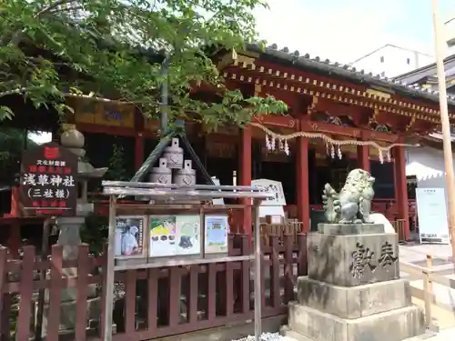 浅草神社の景色