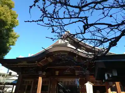 湯島天満宮(東京都)