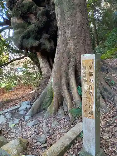 高良神社(京都府)