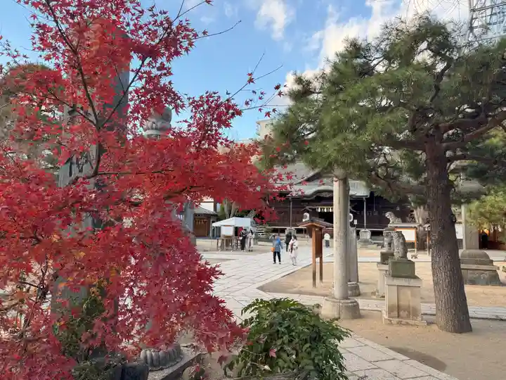 四柱神社(長野県)