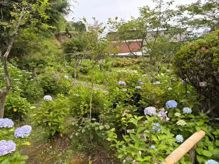 極楽寺(静岡県)