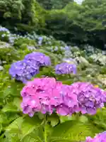 粟井神社(香川県)