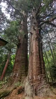 山宮神社(山梨県)