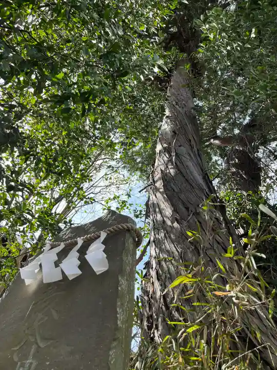 星宮神社(栃木県)