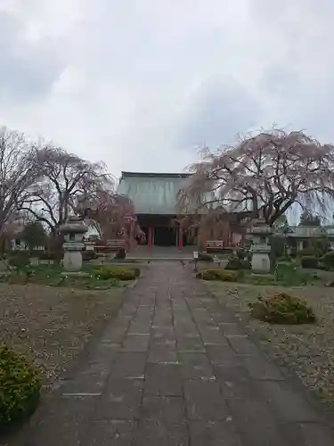 善導寺の本殿・本堂