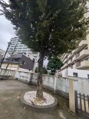 綾瀬神社(東京都)