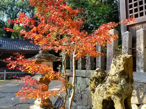 木津住吉神社の狛犬