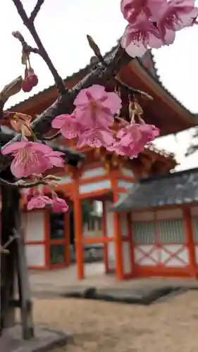 新日吉神宮(京都府)