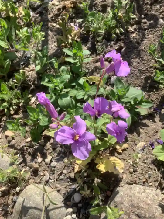 三輪神社の自然