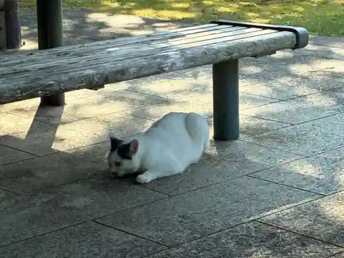 明現神社の御朱印