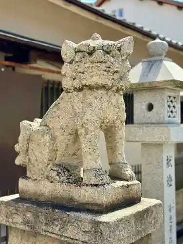 岸和田天神宮の狛犬