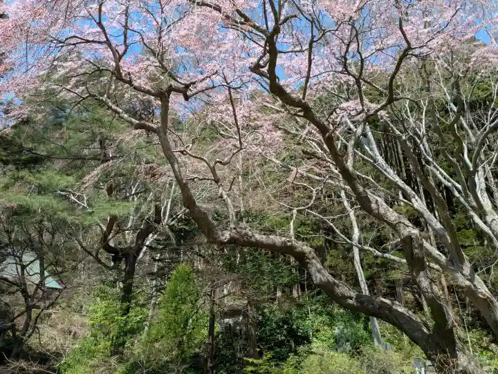 函館八幡宮の{uncategorized: "未分類", other: "その他", undefined: "問題あり", building: "その他建物", grave: "お墓", sacred_gate: "鳥居", guardian: "狛犬", statue: "像", buddha: "仏像", history: "歴史", nature: "自然", garden: "庭園", animal: "動物", pagoda: "塔", temizu: "手水舎", mountain_gate: "山門・神門", sanctuary: "本殿・本堂", subordinate: "末社・摂社", art: "芸術", scenery: "景色", jizo: "地蔵", ema: "絵馬", goshuin: "御朱印", omikuji: "おみくじ", items: "授与品その他", amulet: "お守り", goshuincho: "御朱印帳", eats: "食事", festival: "お祭り", votive_dance: "神楽", shichigosan: "七五三参", wedding: "結婚式", experience: "体験その他", initially: "初詣", around: "周辺", anti_infection: "感染症対策"}