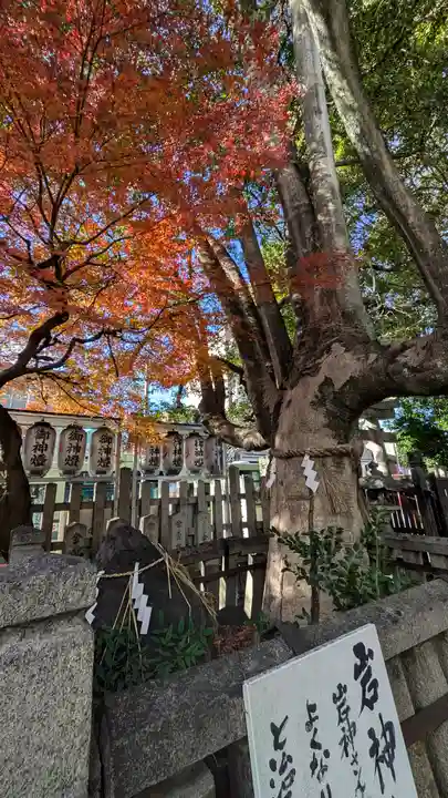 満足稲荷神社(京都府)