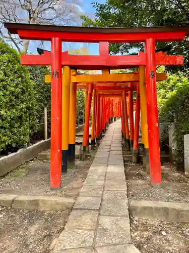 乙女稲荷神社(東京都)