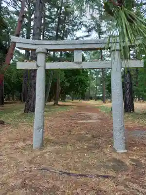 天橋立神社の鳥居