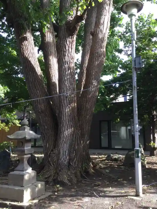 月寒神社(北海道)