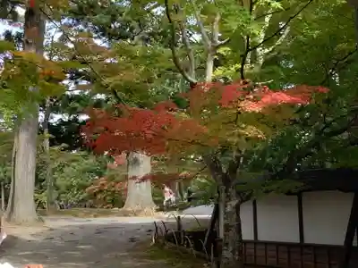 毛越寺のその他建物