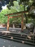 乃木神社の鳥居