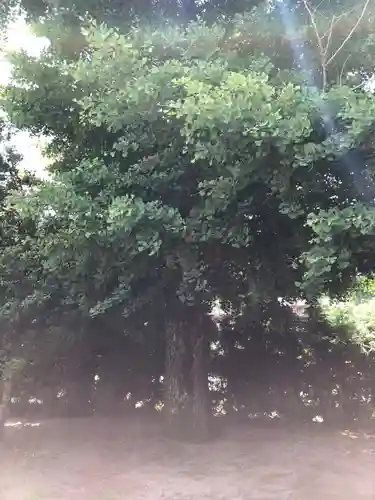 栗原神社の自然