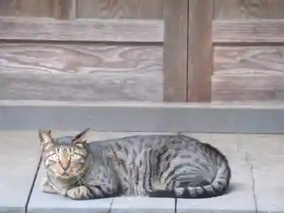 普門寺(東京都)
