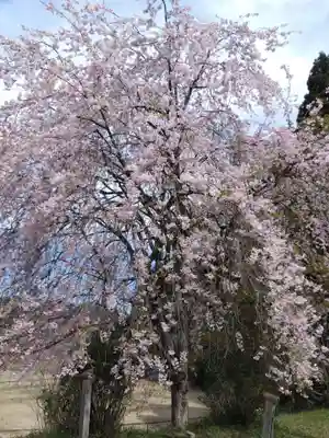 福徳寺(京都府)