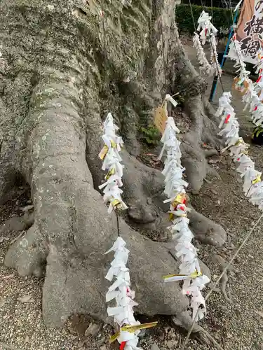 八枝神社(埼玉県)