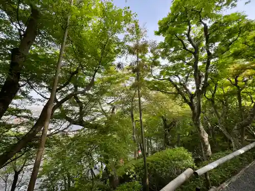 華厳寺（鈴虫寺）(京都府)