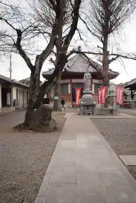 新光寺(埼玉県)
