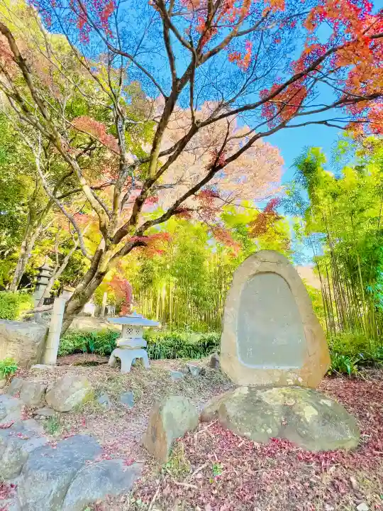 西明寺の{uncategorized: "未分類", other: "その他", undefined: "問題あり", building: "その他建物", grave: "お墓", sacred_gate: "鳥居", guardian: "狛犬", statue: "像", buddha: "仏像", history: "歴史", nature: "自然", garden: "庭園", animal: "動物", pagoda: "塔", temizu: "手水舎", mountain_gate: "山門・神門", sanctuary: "本殿・本堂", subordinate: "末社・摂社", art: "芸術", scenery: "景色", jizo: "地蔵", ema: "絵馬", goshuin: "御朱印", omikuji: "おみくじ", items: "授与品その他", amulet: "お守り", goshuincho: "御朱印帳", eats: "食事", festival: "お祭り", votive_dance: "神楽", shichigosan: "七五三参", wedding: "結婚式", experience: "体験その他", initially: "初詣", around: "周辺", anti_infection: "感染症対策"}