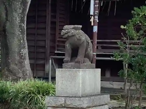 飯香岡八幡宮の狛犬