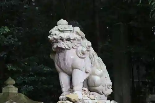 菅船神社の狛犬