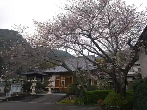 竜国寺(静岡県)