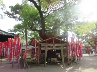 住吉大社(大阪府)