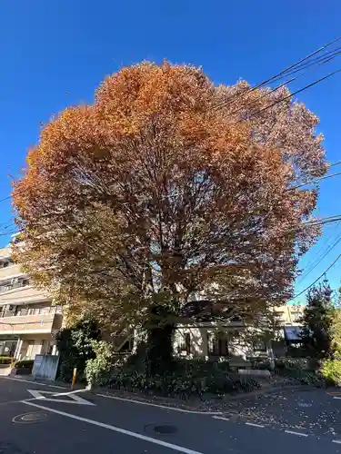 小野神社(東京都)