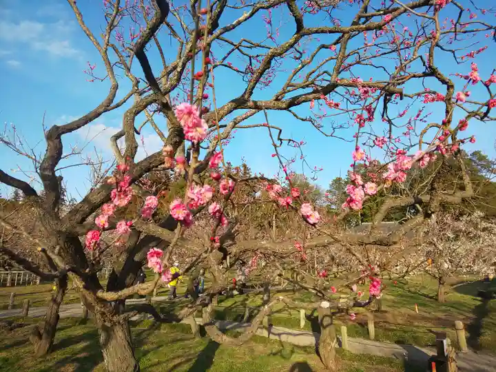 常磐神社の周辺