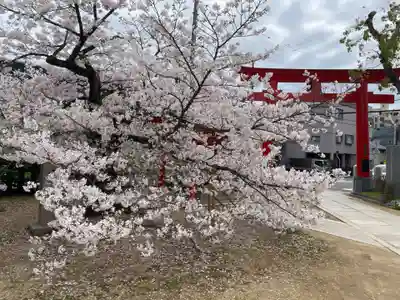 生田神社兵庫宮御旅所(兵庫県)