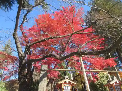 新倉富士浅間神社(山梨県)