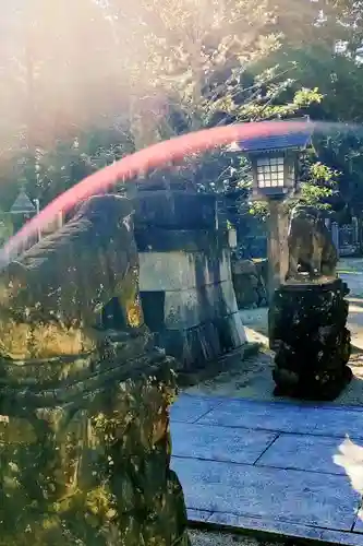 木戸八幡神社の狛犬