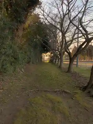 稲荷神社(千葉県)