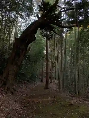 愛宕神社(千葉県)