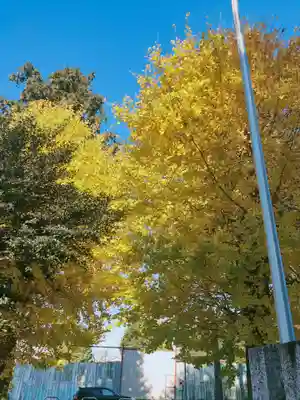 古布内八幡神社の自然