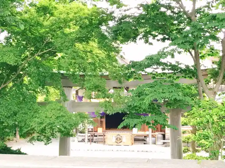 出雲大社 北島国造館 出雲教 藤枝分院の鳥居