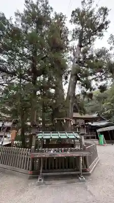 大神神社(奈良県)
