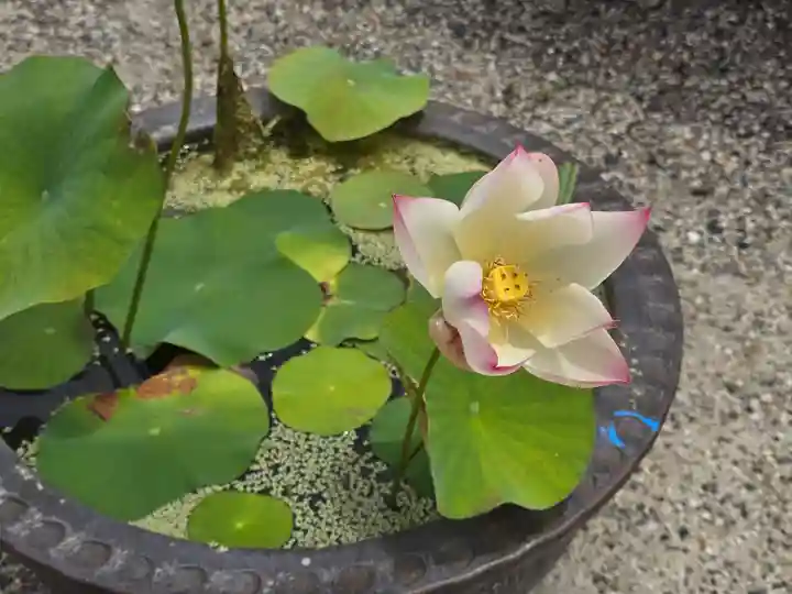 薬師寺(奈良県)