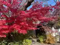 円常院(圓常院) enjoyntemple(京都府)