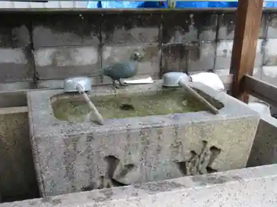 首途八幡宮(京都府)