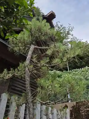 金刀比羅神社(福井県)
