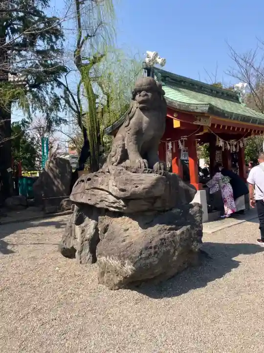 浅草神社の狛犬