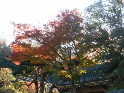 報国寺(神奈川県)