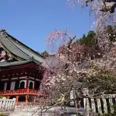 久遠寺の建物その他